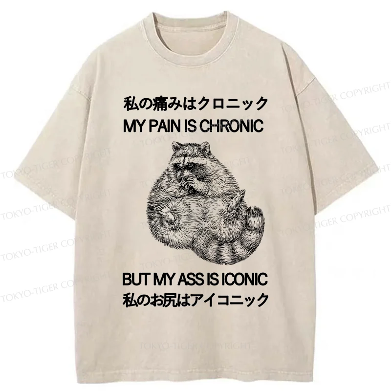 Tokyo-Tiger Raccoon Assis Iconic Washed T-Shirt