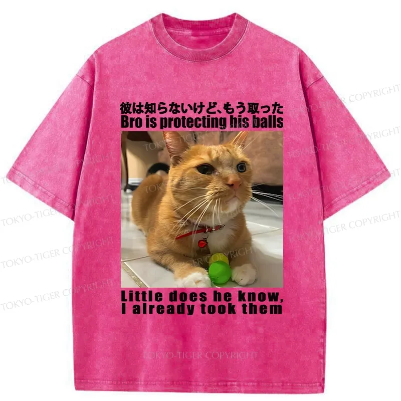 Tokyo-Tiger Bro Is Protecting His Balls Washed T-Shirt
