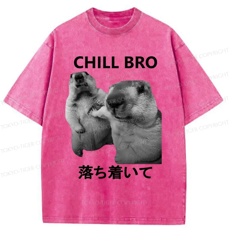 Tokyo-Tiger Calm Down Otter Washed T-Shirt