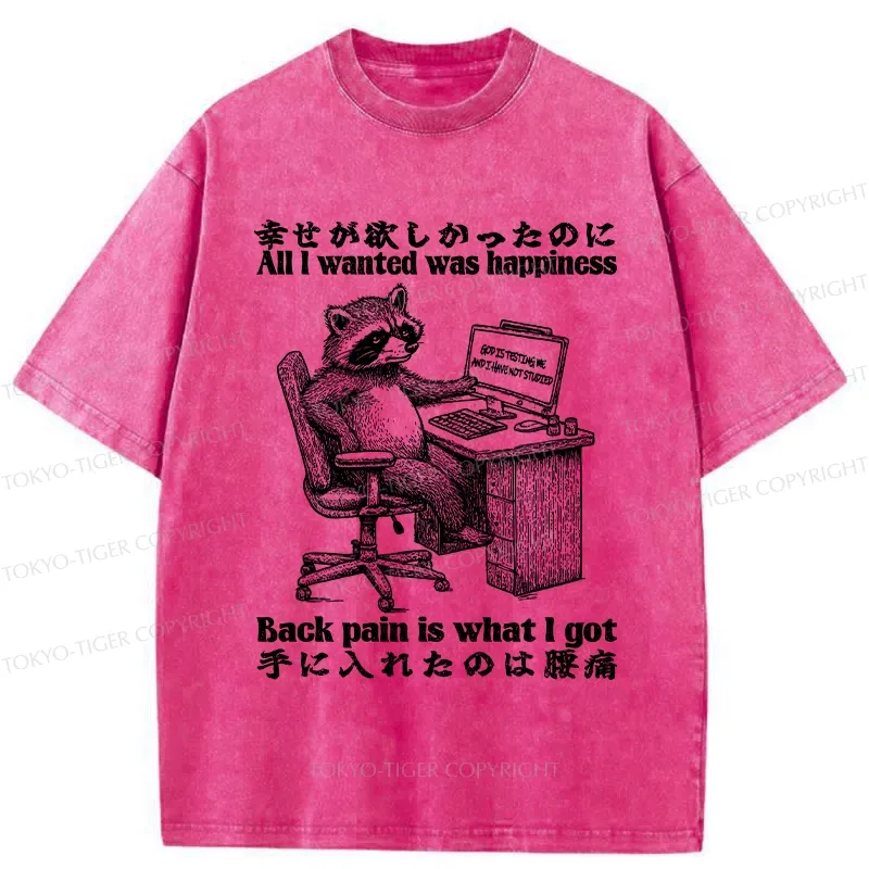 Tokyo-Tiger All I Wanted Was Happiness Washed T-Shirt