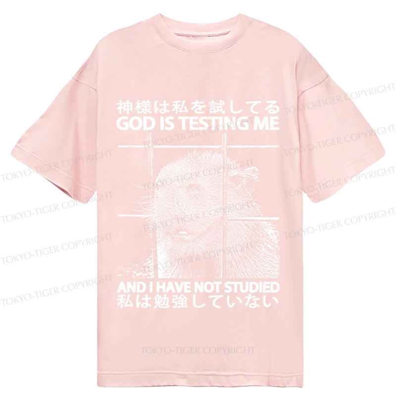 Tokyo-Tiger God Is Testing Me Classic T-Shirt
