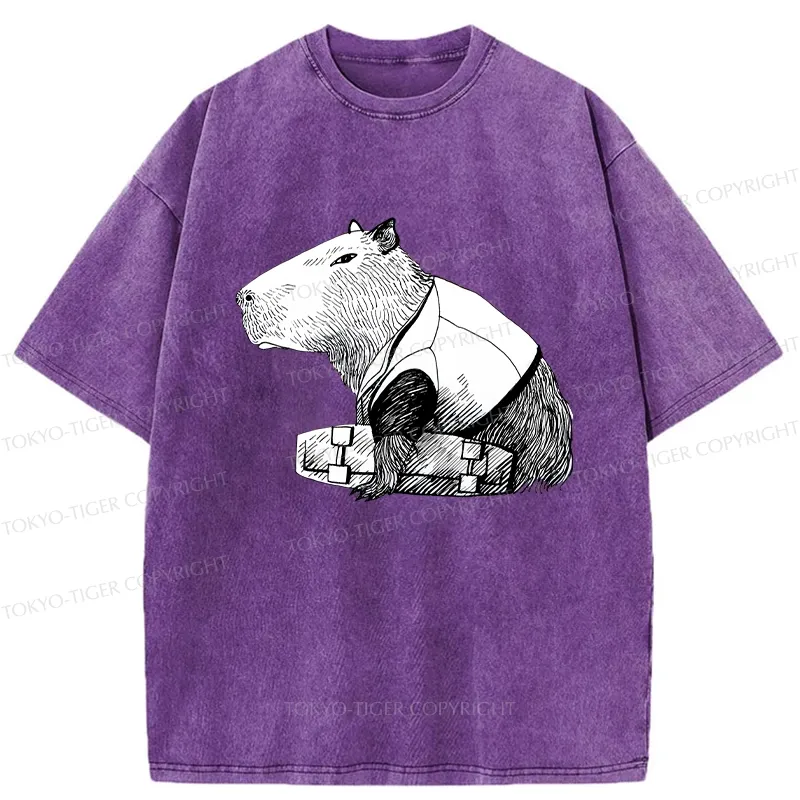 Tokyo-Tiger Funny Capybara Skateboard Washed T-Shirt