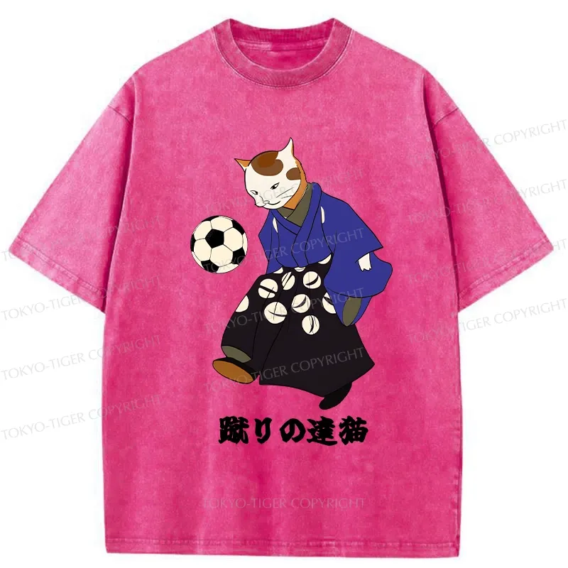 Tokyo-Tiger Cat Playing Football Washed T-Shirt