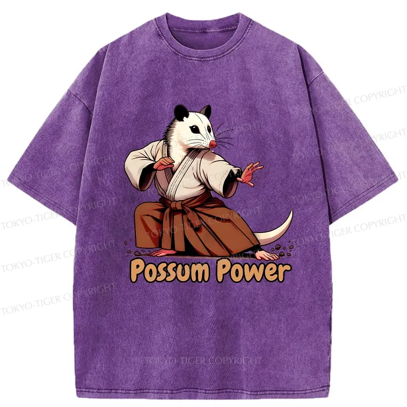 Tokyo-Tiger Possum Power Washed T-Shirt