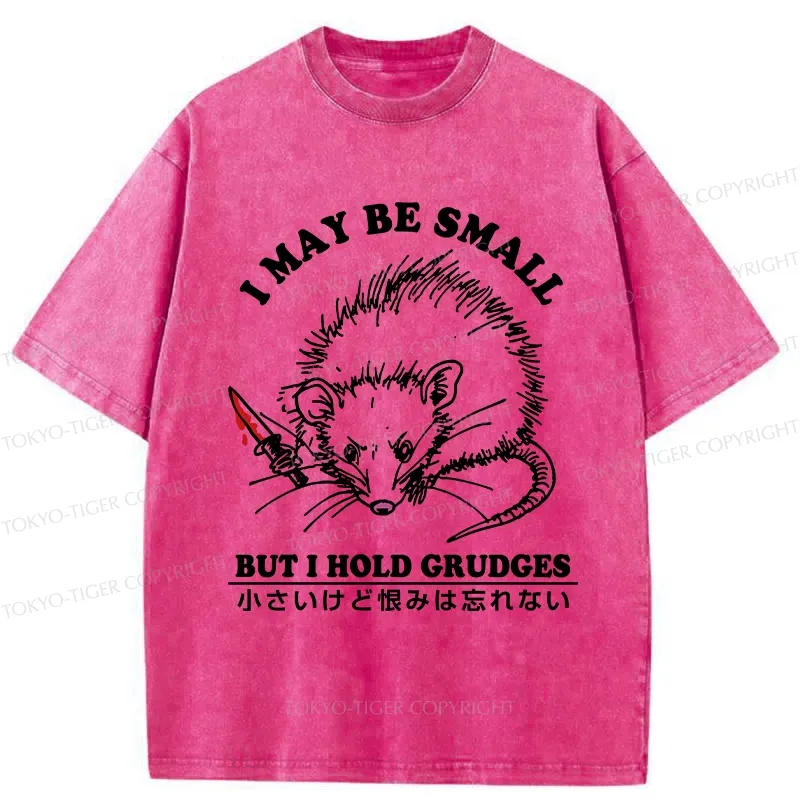 Tokyo-Tiger Mouse Holds A Grudge Funny Washed T-Shirt