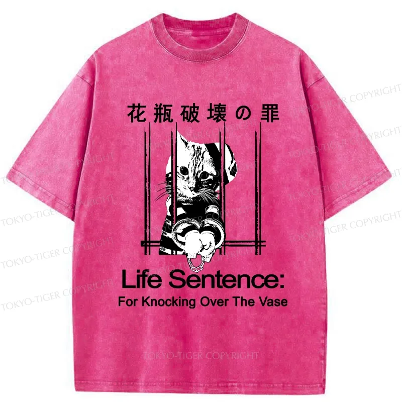 Tokyo-Tiger The Sin Of Vase Breaking Funny Washed T-Shirt