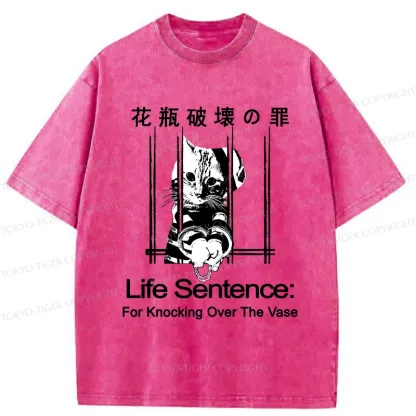 Tokyo-Tiger The Sin Of Vase Breaking Funny Washed T-Shirt