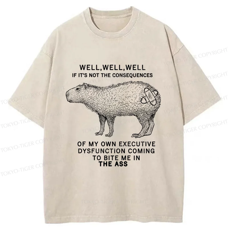 Tokyo-Tiger Stupid Capybara Washed T-Shirt
