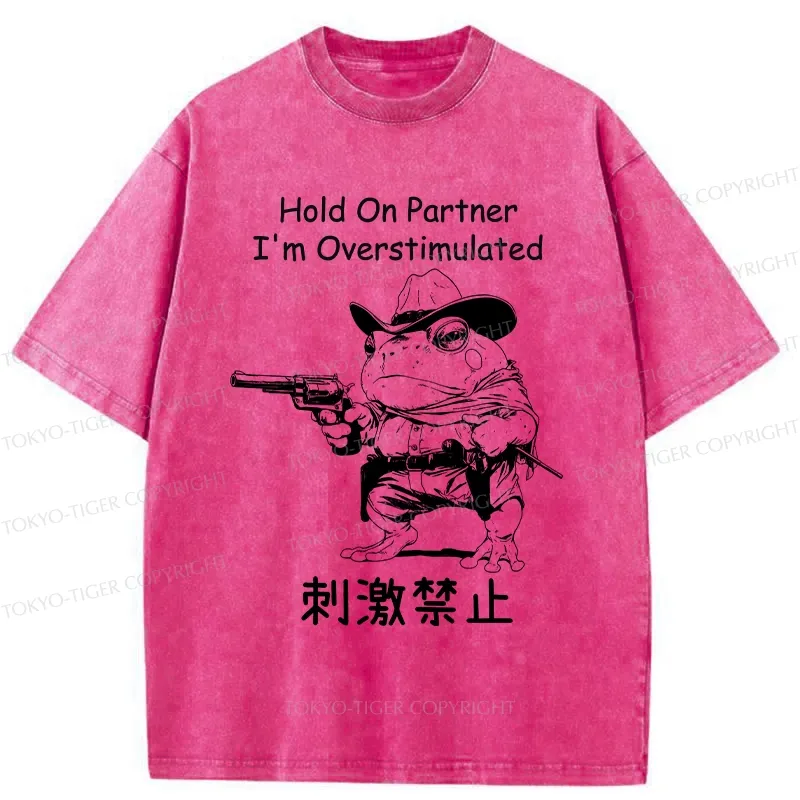 Tokyo-Tiger Overstimulated Frog Washed T-Shirt