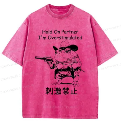 Tokyo-Tiger Overstimulated Frog Washed T-Shirt