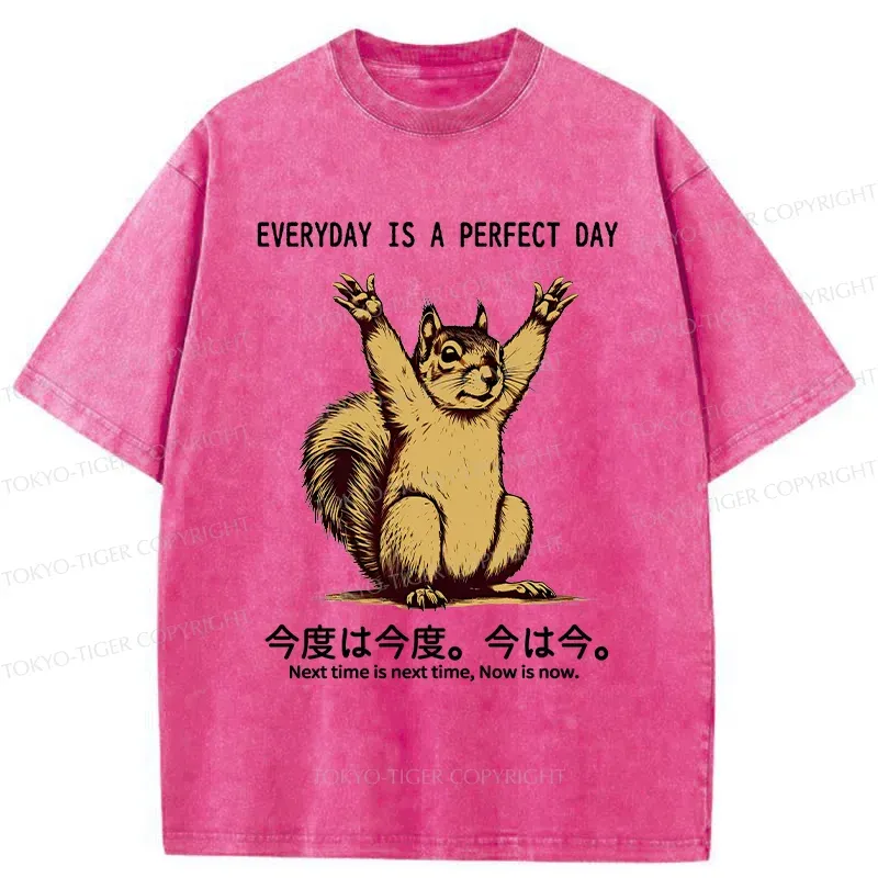 Tokyo-Tiger Squirrels Who Live Every Day Well Washed T-Shirt