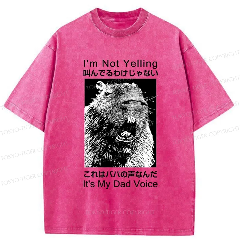 Tokyo-Tiger Funny Dad Voice Washed T-Shirt
