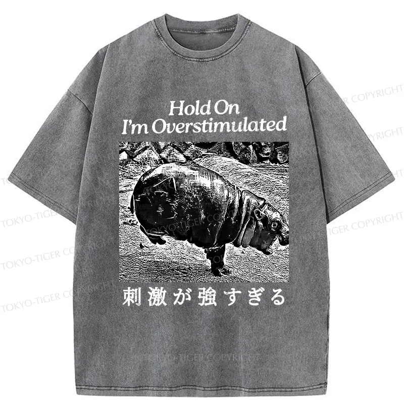 Tokyo-Tiger Overstimulated Moo Deng Washed T-Shirt