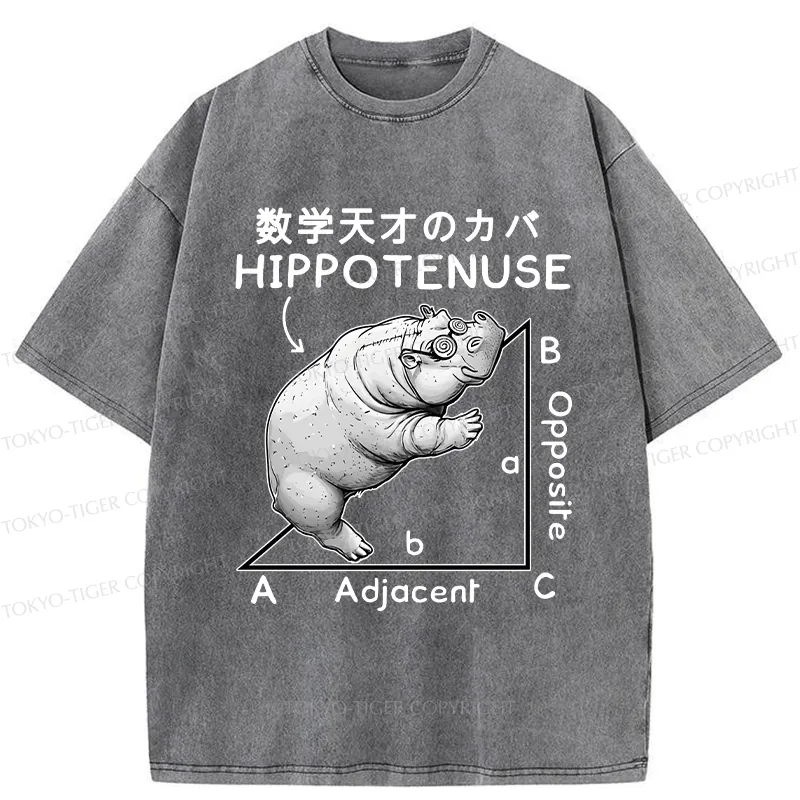 Tokyo-Tiger Mathematical Genius Hippo Washed T-Shirt