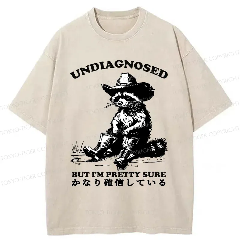 Tokyo-Tiger Confirmed Raccoon Washed T-Shirt