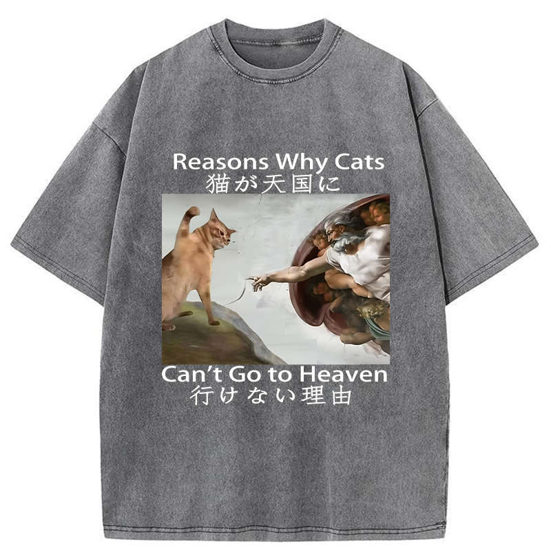 Tokyo-Tiger Naughty Cat Can't Go To Heaven Washed T-Shirt