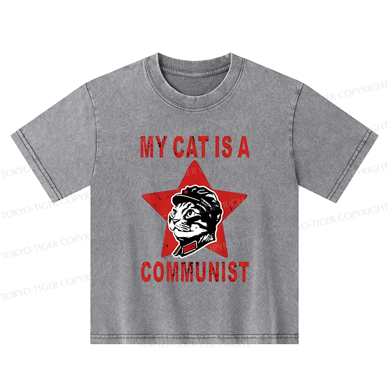 Tokyo-Tiger Funny Cat-ism Kids Washed T-Shirt