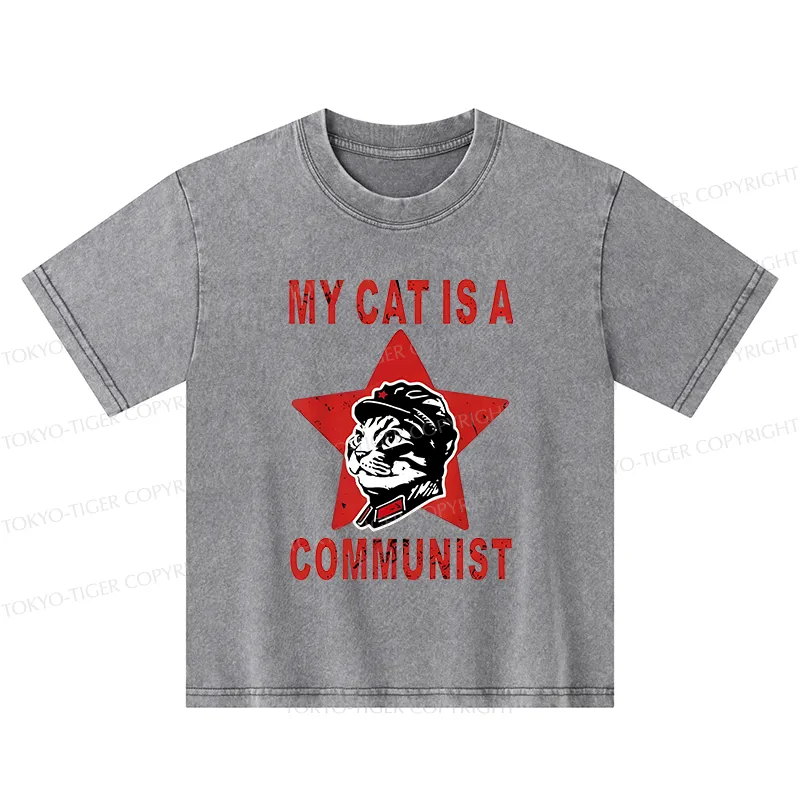 Tokyo-Tiger Funny Cat-ism Kids Washed T-Shirt