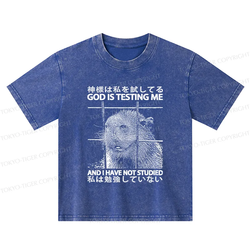Tokyo-Tiger God Is Testing Me Kids Washed T-Shirt