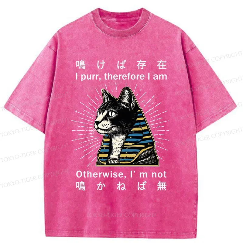 Tokyo-Tiger Cat Pharaoh Washed T-Shirt