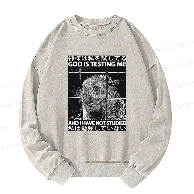 Tokyo-Tiger God Is Testing Me Washed Sweatshirt