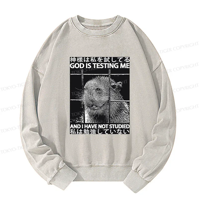 Tokyo-Tiger God Is Testing Me Washed Sweatshirt