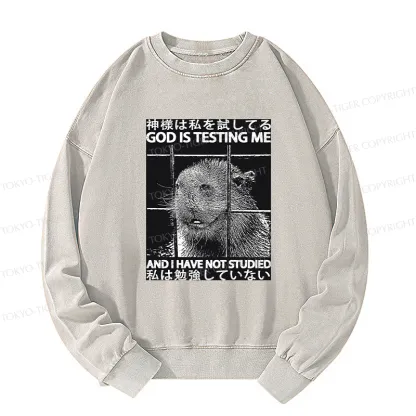 Tokyo-Tiger God Is Testing Me Washed Sweatshirt