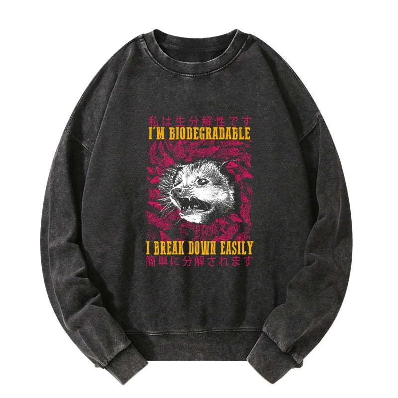 Tokyo-Tiger An Easily Breakable Opossum Washed Sweatshirt