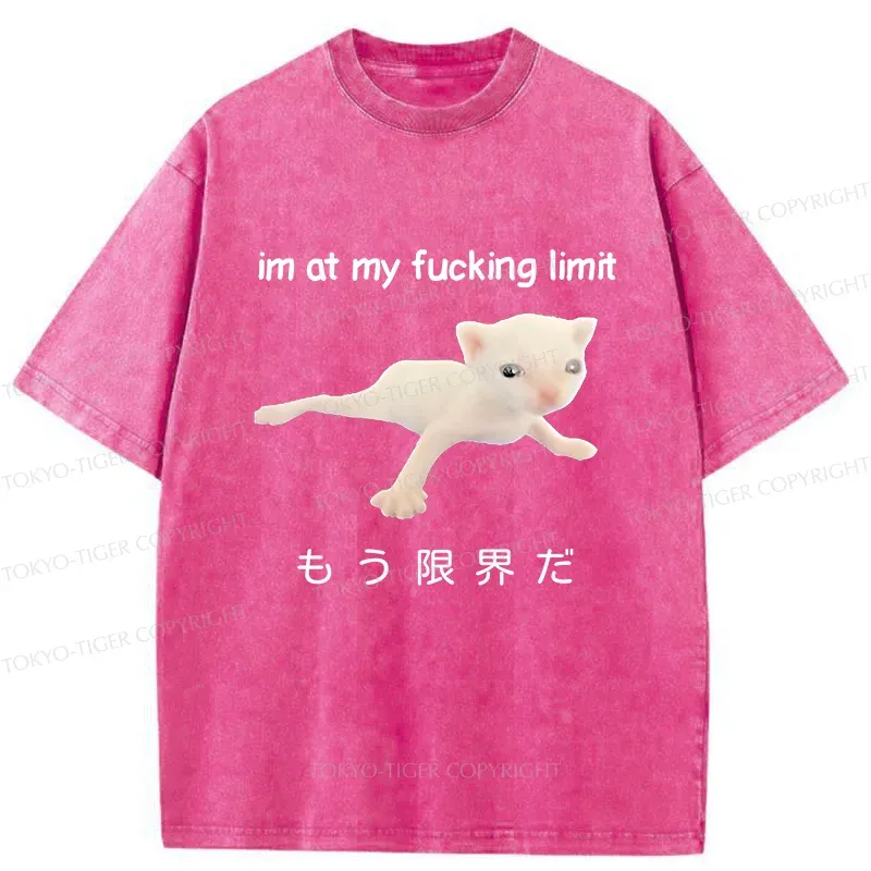 Tokyo-Tiger Cat Reaching Its Limit Washed T-Shirt