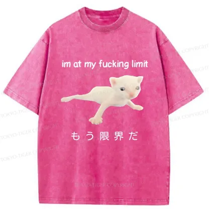 Tokyo-Tiger Cat Reaching Its Limit Washed T-Shirt