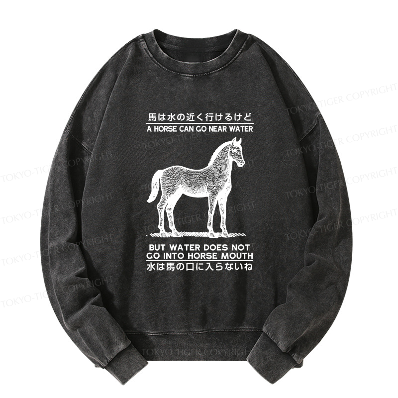 Tokyo-Tiger Funny Horse And Water Saying Washed Sweatshirt