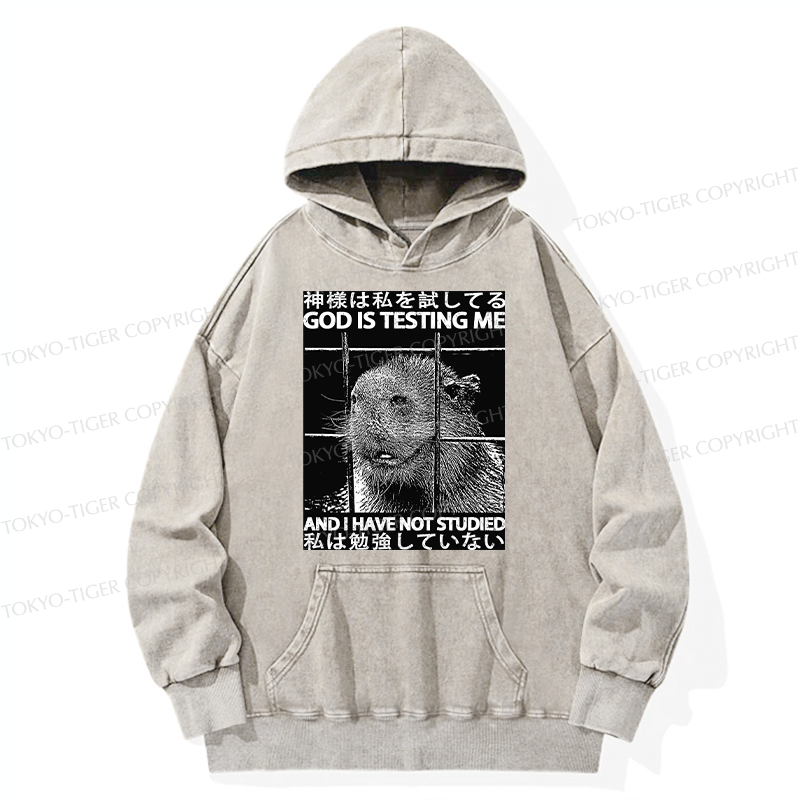 Tokyo-Tiger God Is Testing Me Washed Hoodie