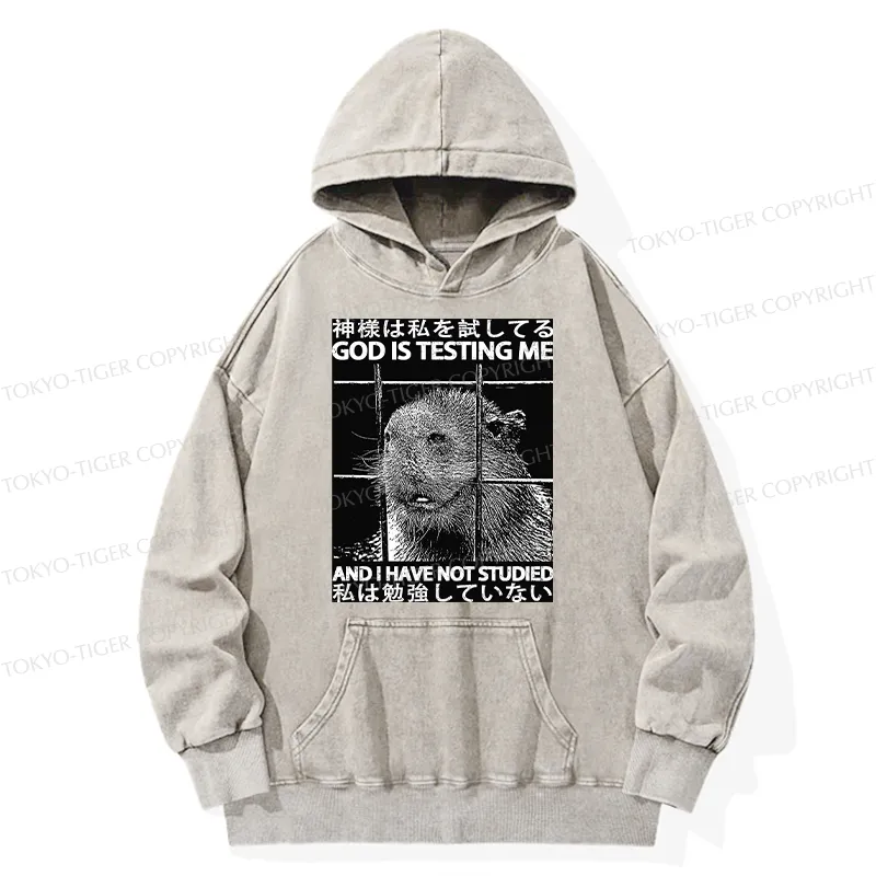 Tokyo-Tiger God Is Testing Me Washed Hoodie