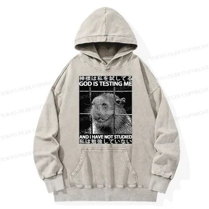 Tokyo-Tiger God Is Testing Me Washed Hoodie