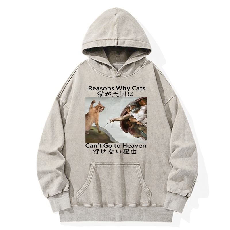 Tokyo-Tiger Naughty Cat Can't Go To Heaven Washed Hoodie