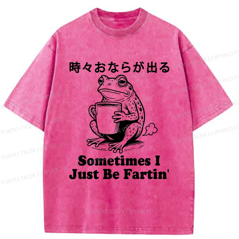 Tokyo-Tiger Farting Frog Washed T-Shirt