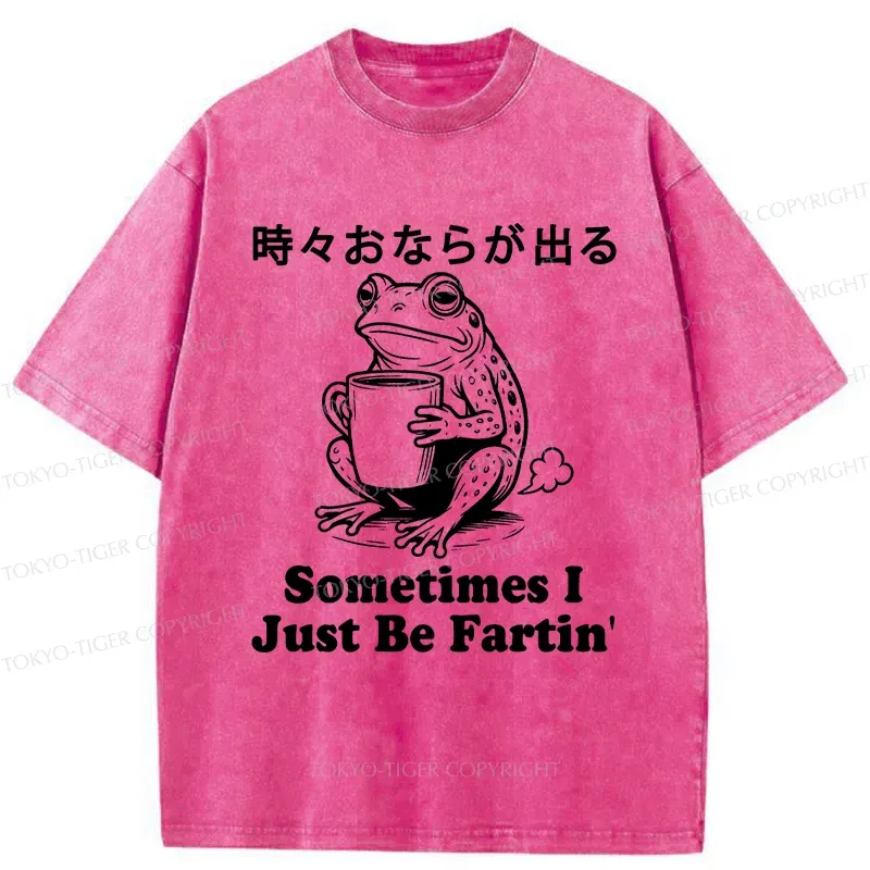 Tokyo-Tiger Farting Frog Washed T-Shirt