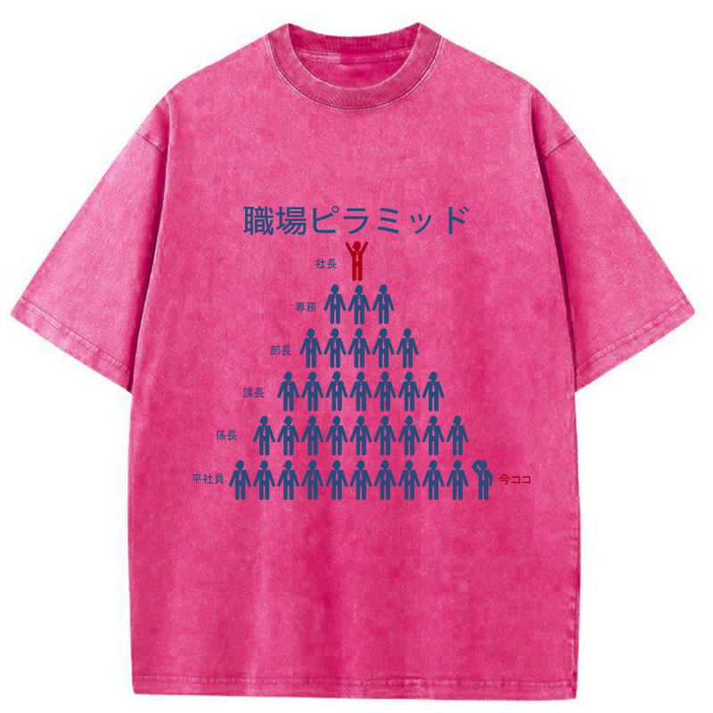 Tokyo-Tiger Workplace Pyramid Washed T-Shirt