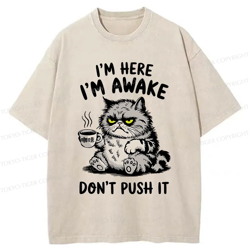 Tokyo-Tiger Tired Cat Washed T-Shirt