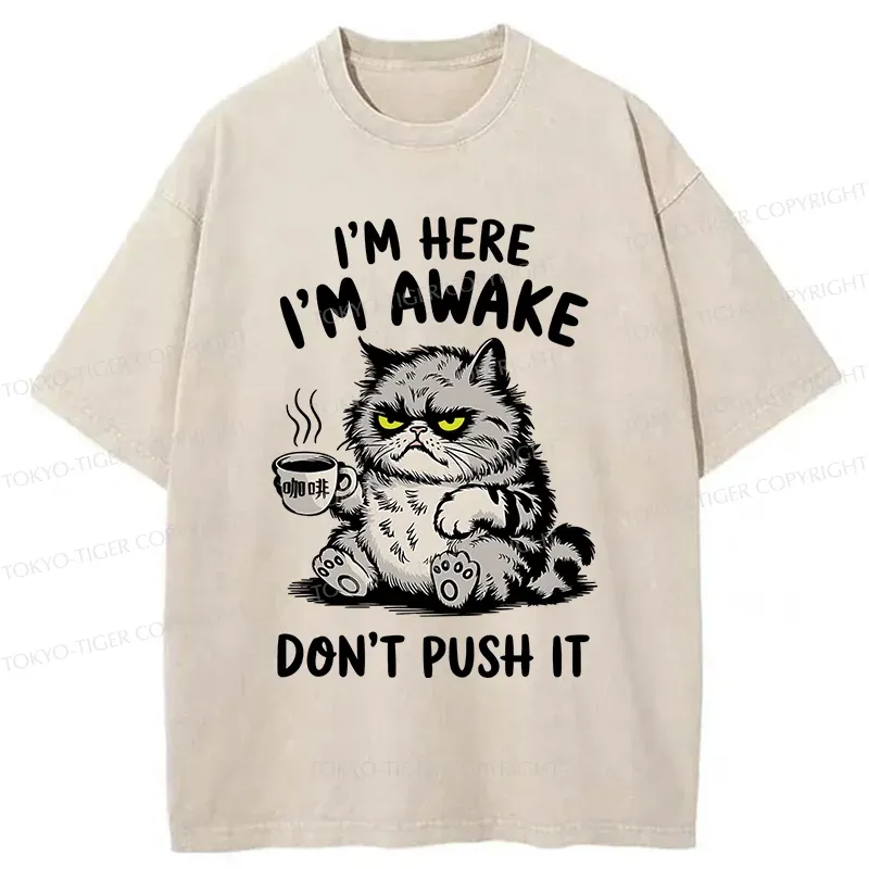 Tokyo-Tiger Tired Cat Washed T-Shirt