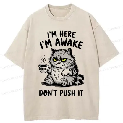 Tokyo-Tiger Tired Cat Washed T-Shirt