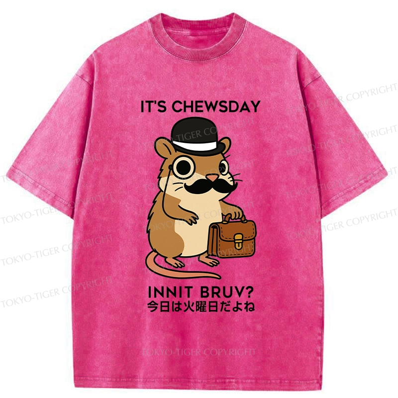 Tokyo-Tiger It's Chewsday Innit Bruv Washed T-Shirt