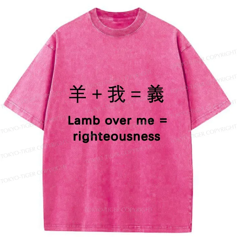 Tokyo-Tiger Constitution Of Justice Washed T-Shirt