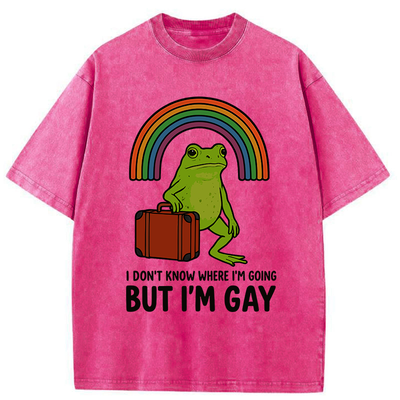 Tokyo-Tiger I Dont Know Frog Washed T-Shirt