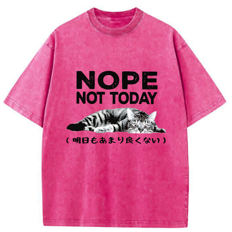 Tokyo-Tiger Every Day Won't Be So Good Washed T-Shirt