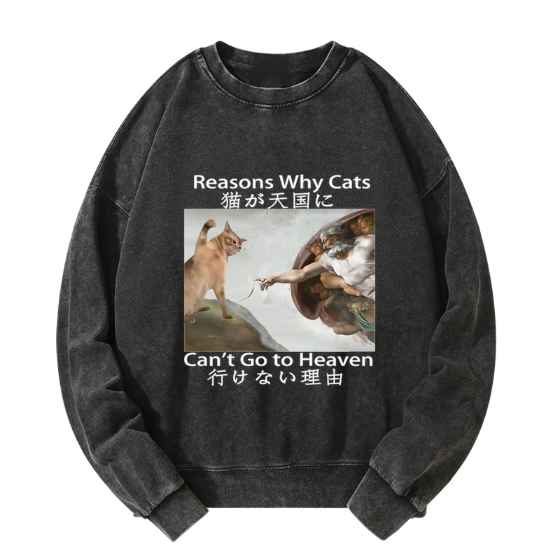 Tokyo-Tiger Naughty Cat Can't Go To Heaven Washed Sweatshirt