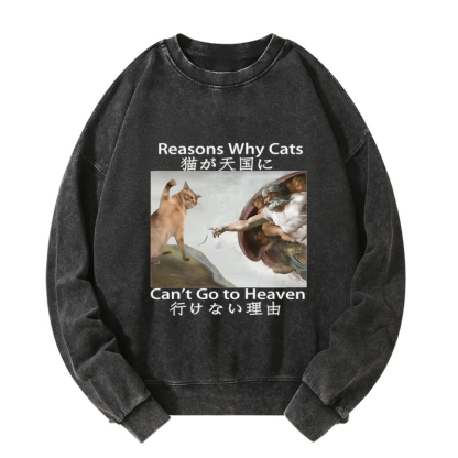 Tokyo-Tiger Naughty Cat Can't Go To Heaven Washed Sweatshirt