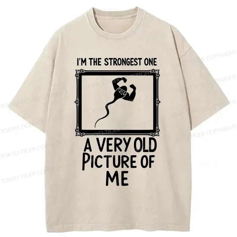 Tokyo-Tiger Old Photos Funny Washed T-Shirt