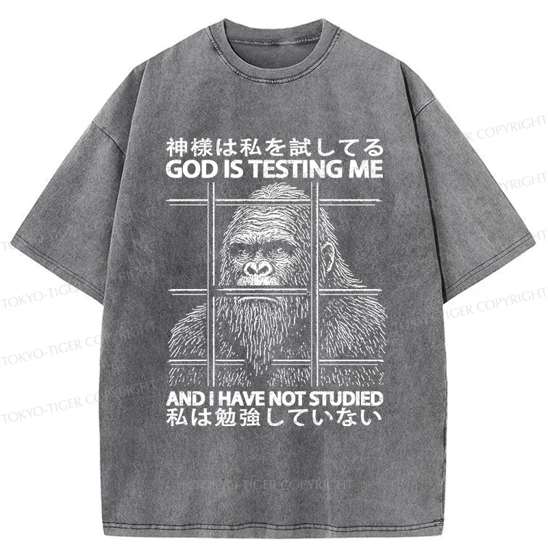 Tokyo-Tiger Funny God Is Testing Me Washed T-Shirt