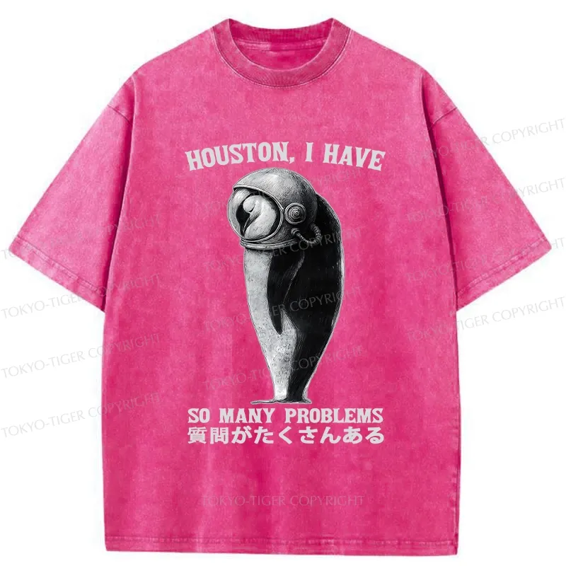 Tokyo-Tiger I Have So Many Problems Washed T-Shirt